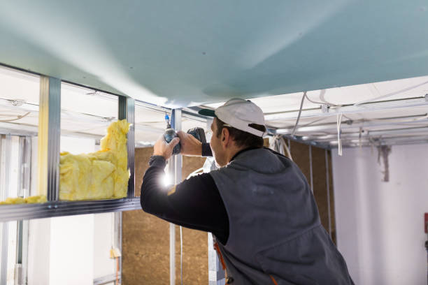 Best Home Insulation Services  in Bright, IN